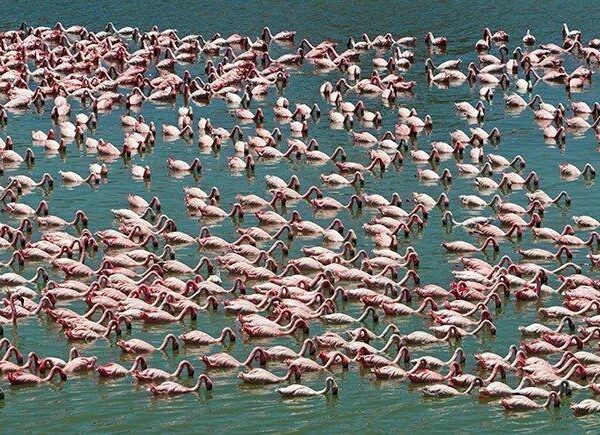 Lake Manyara