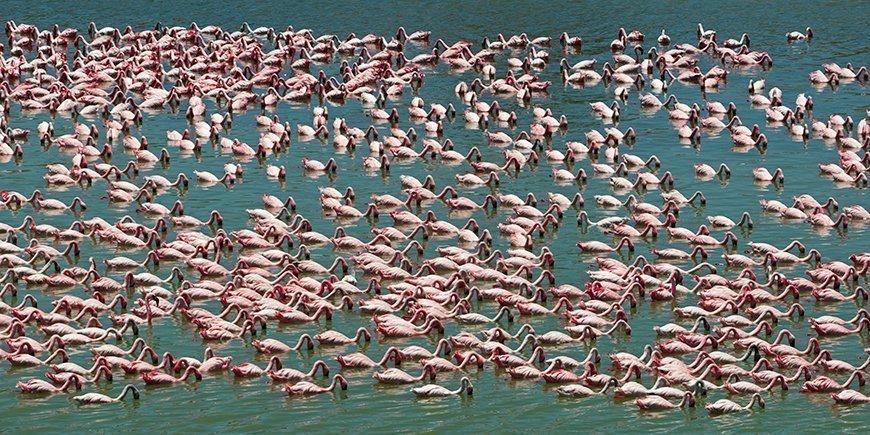 Lake Manyara