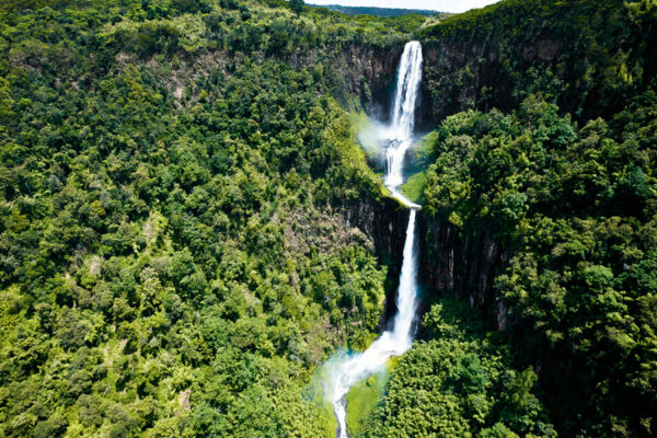Aberdare National Park