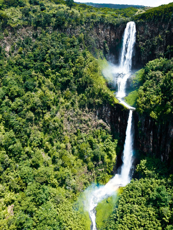 Aberdare National Park