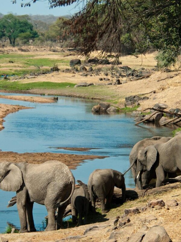 Ruaha National Park