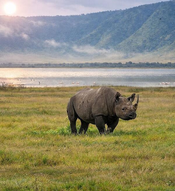 Ngorongoro Conservation Area