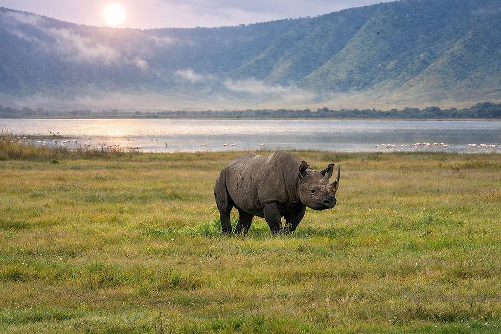 Ngorongoro Conservation Area