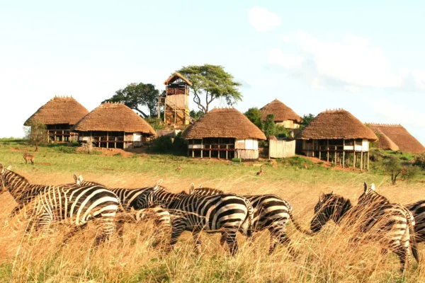 Apoka Safari Lodge