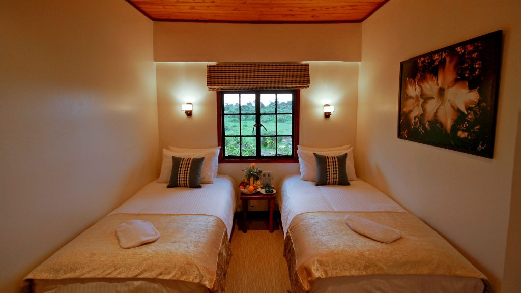Classic Twin Cabin