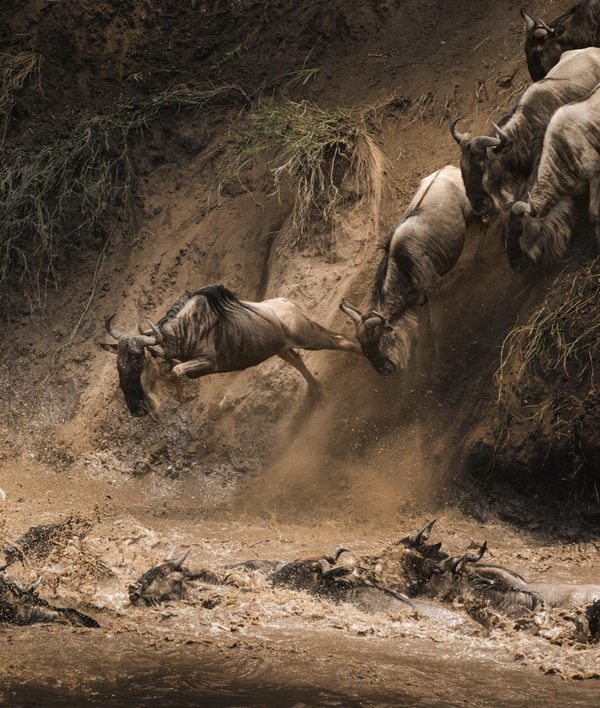 Masai Mara