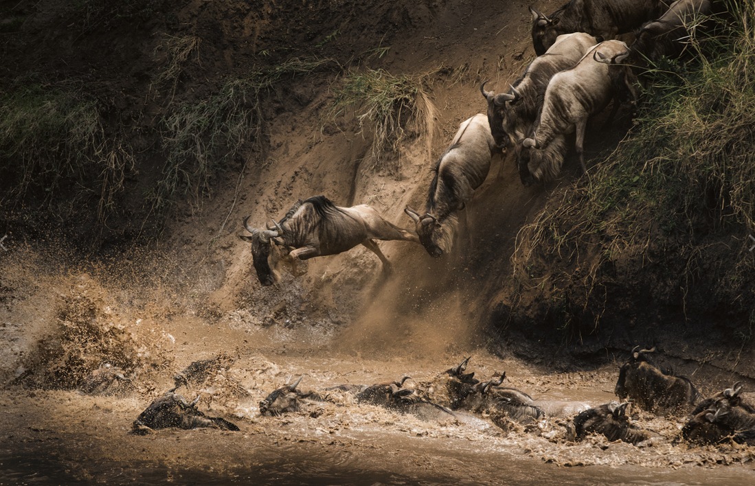 Masai Mara