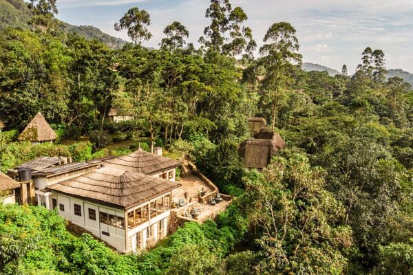 Bwindi Lodge Uganda