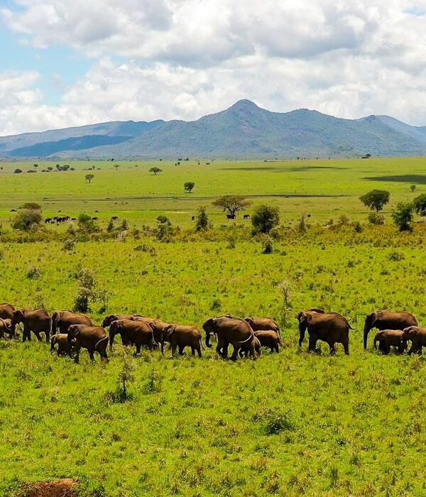 Kidepo Valley