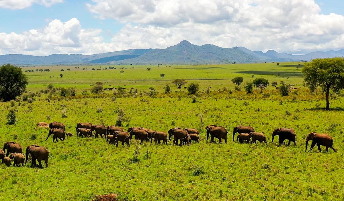 Kidepo Valley