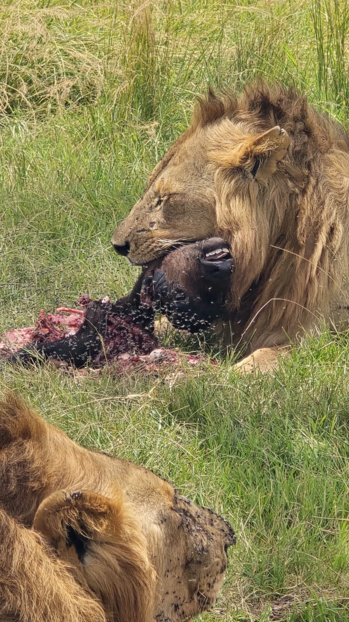 Kenya