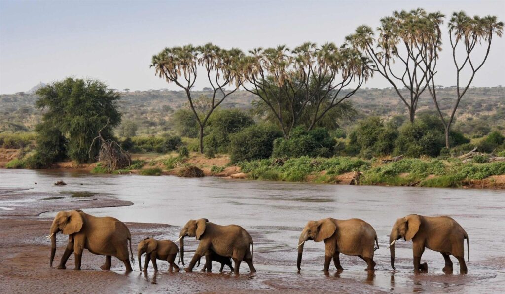 Northern Kenya Wild Frontiers