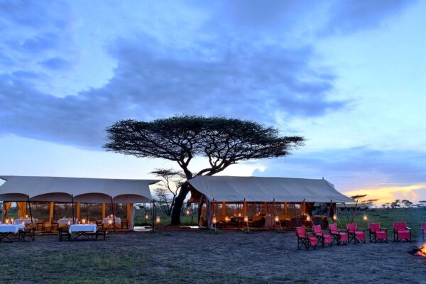 Serengeti Under Canvas