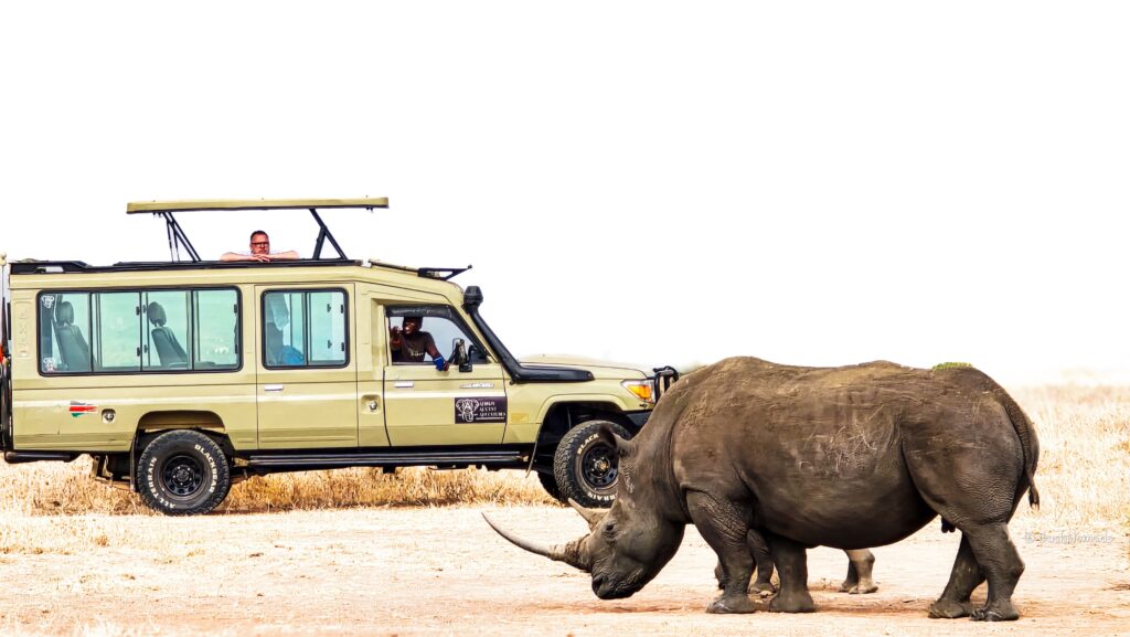 Your first safari: what to know before you book anything
