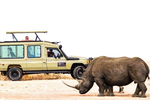 A 4x4 vehicle on a first time safari at sunrise in the Masai Mara