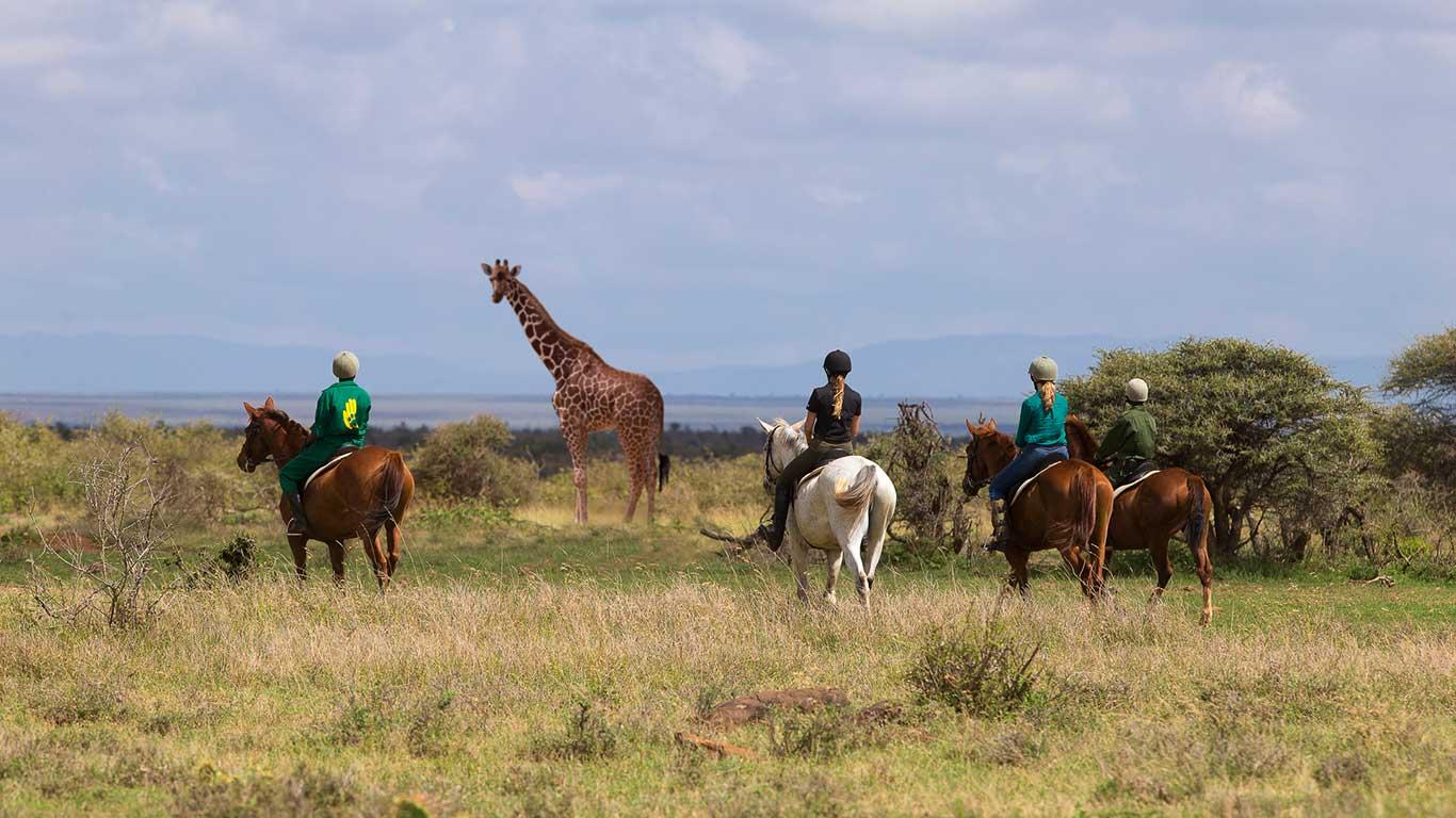 Loisaba Conservancy Ultimate Number 1 Travel Guide