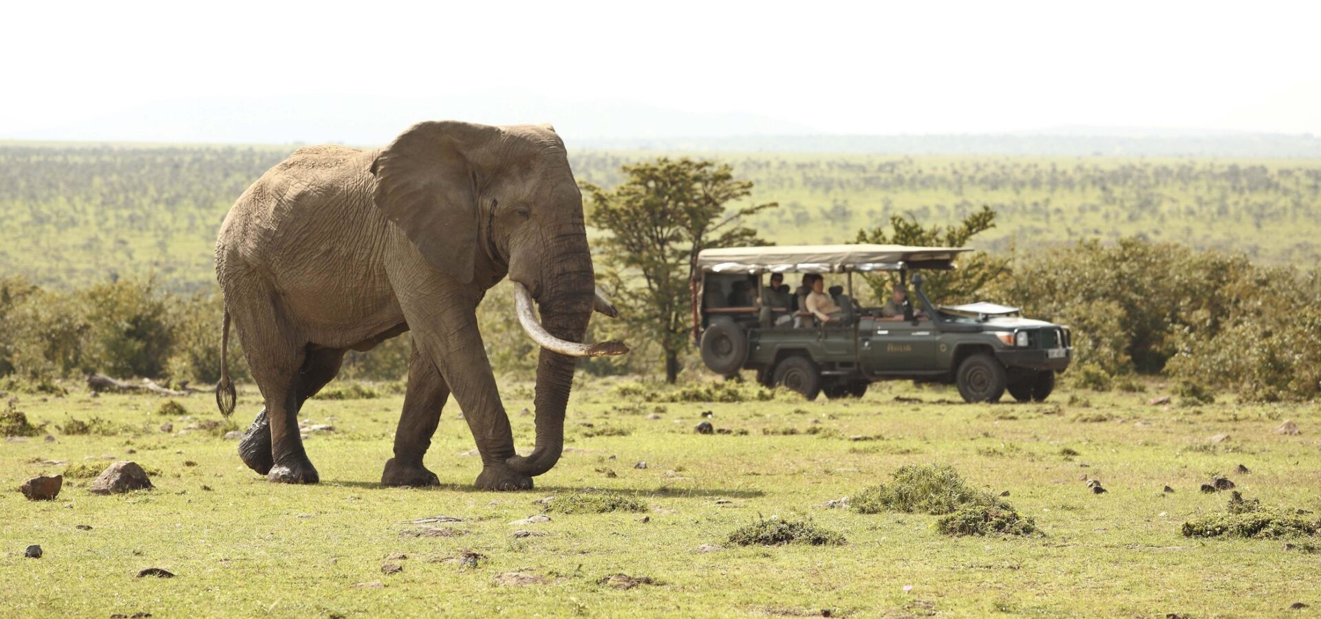 Mara Naboisho Conservancy