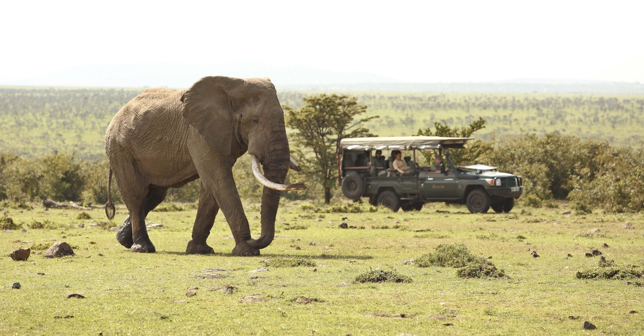 Mara Naboisho Conservancy