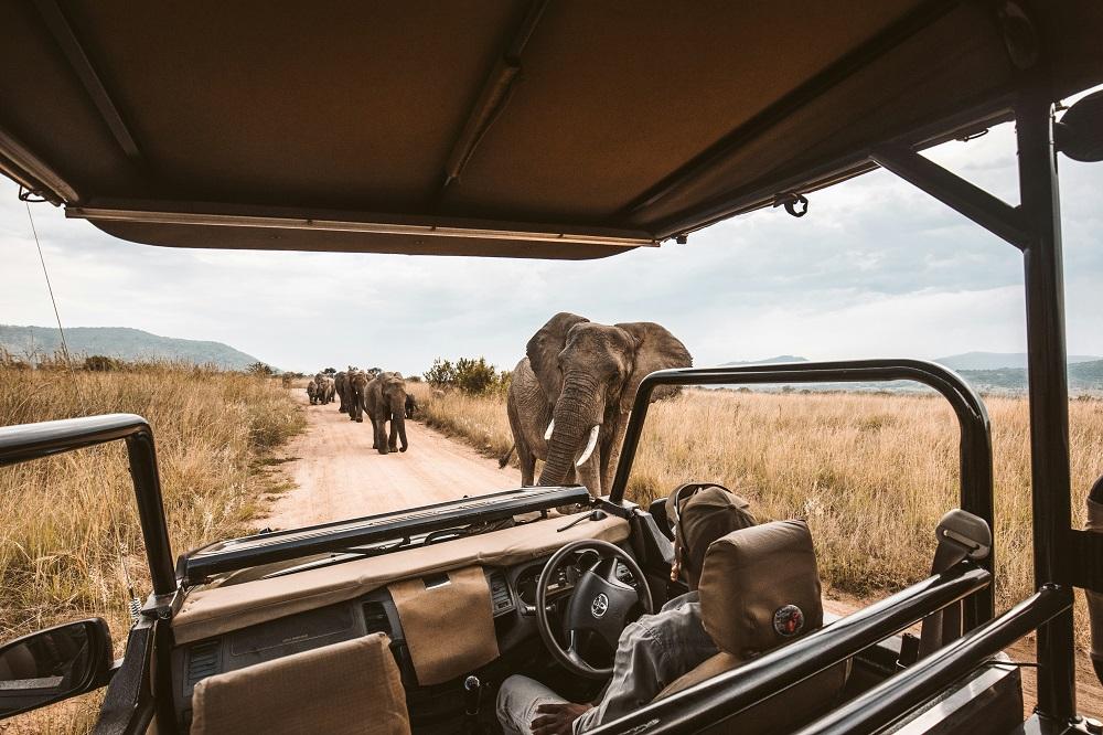Mikumi National Park