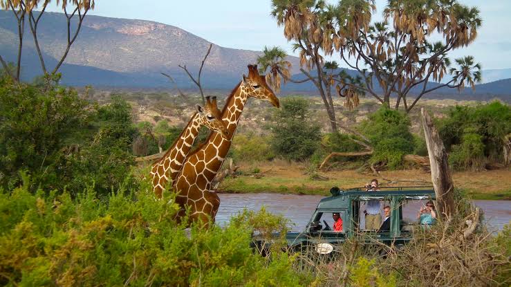 Shaba National Reserve