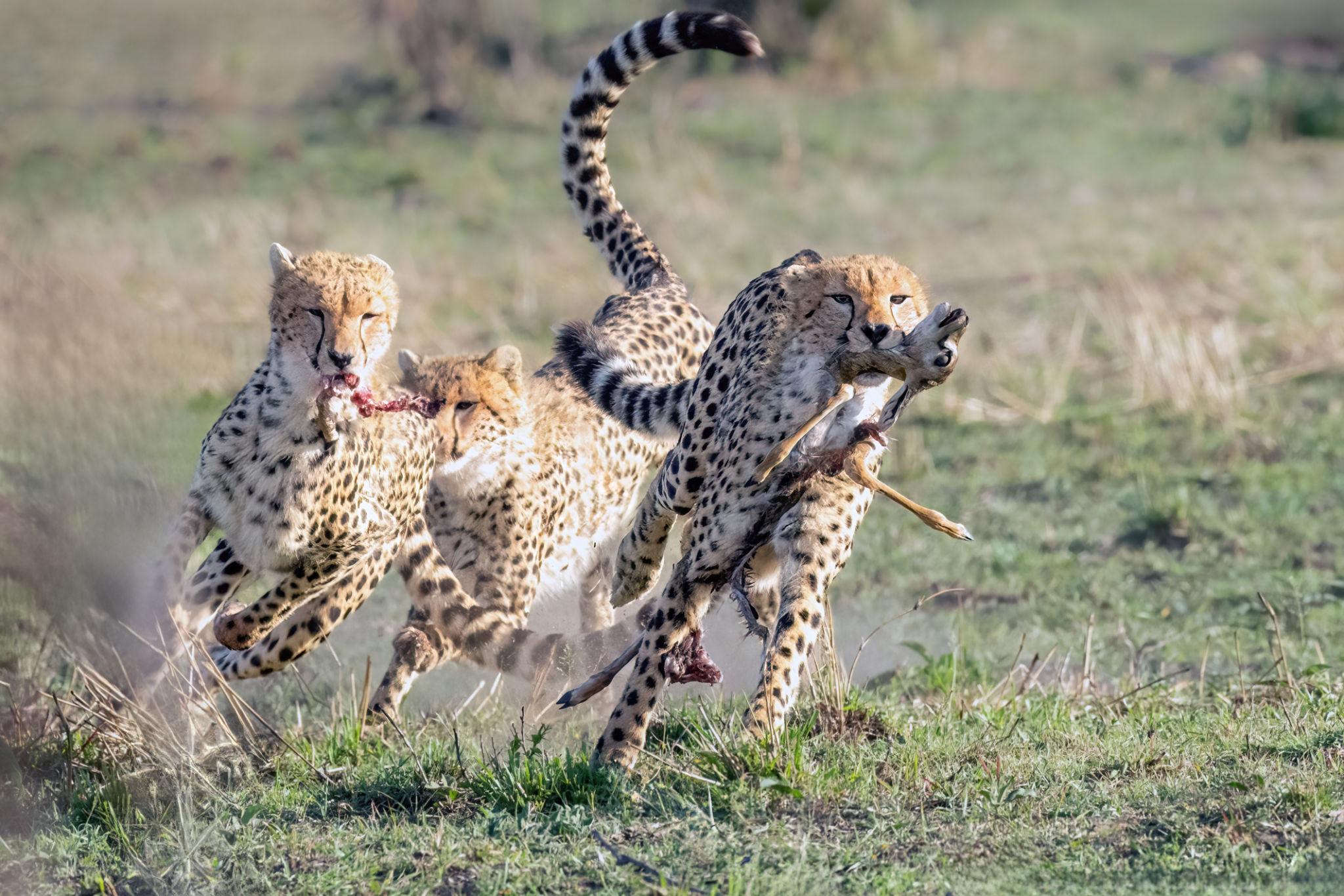 Mara North Conservancy