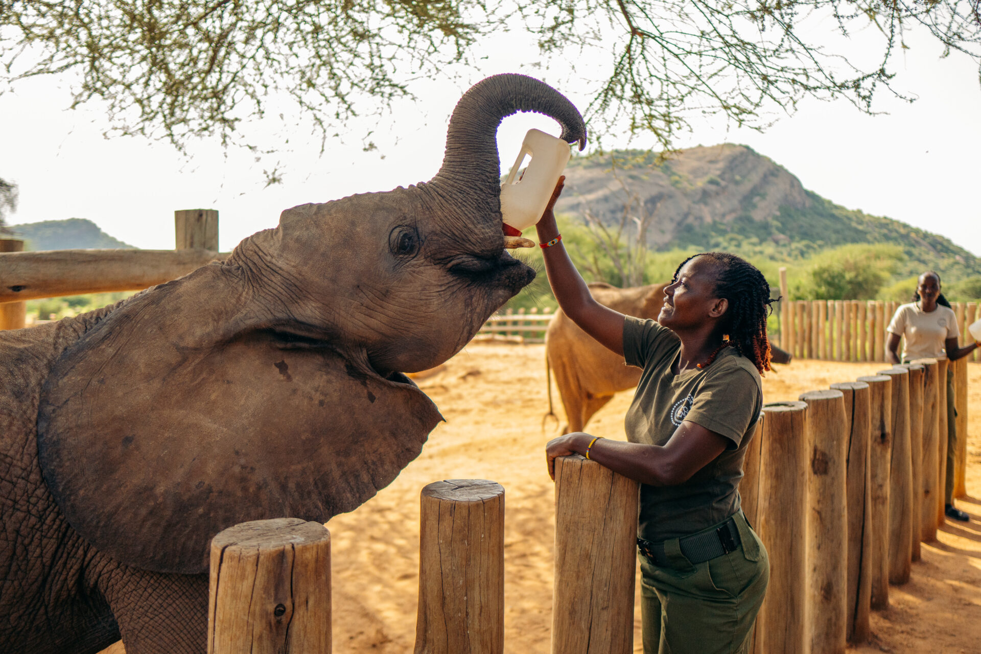 Reteti Elephant Sanctuary