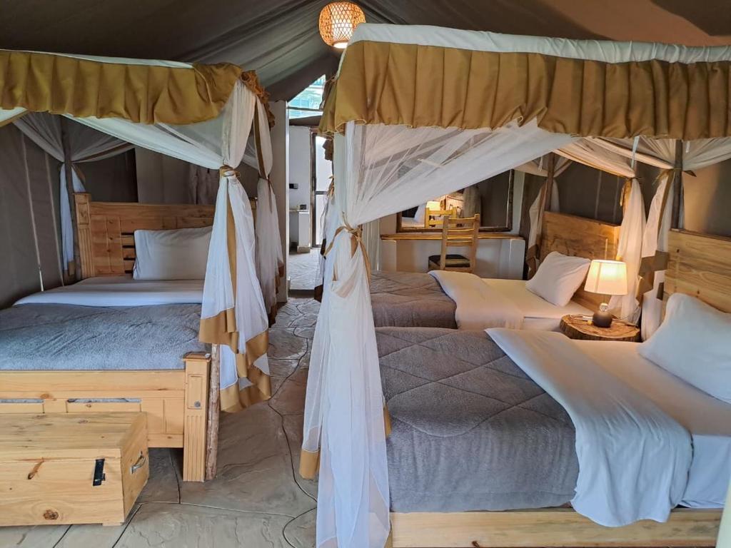 Triple Tents 