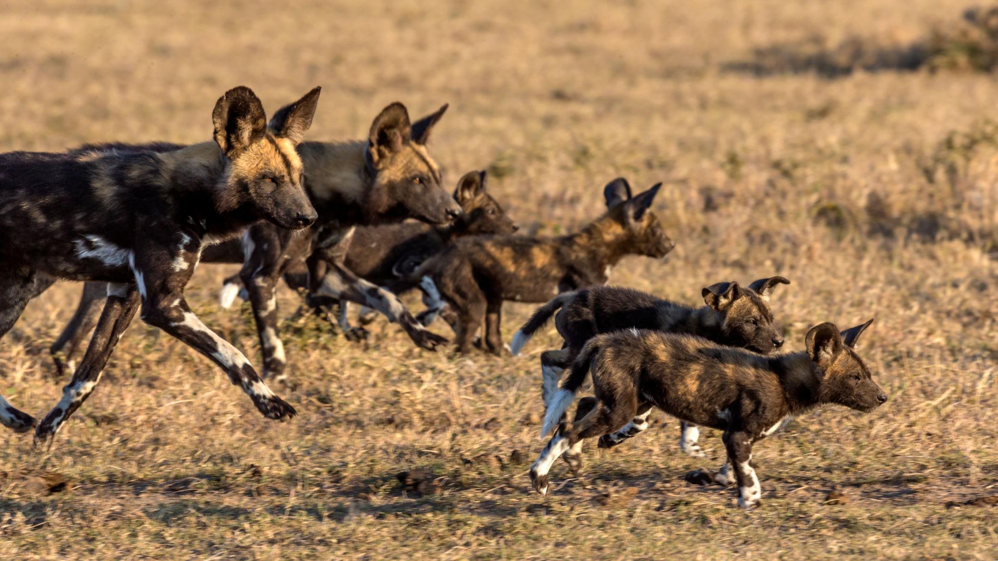 El Karama Wildlife Conservancy Ultimate Number 1 Travel Guide