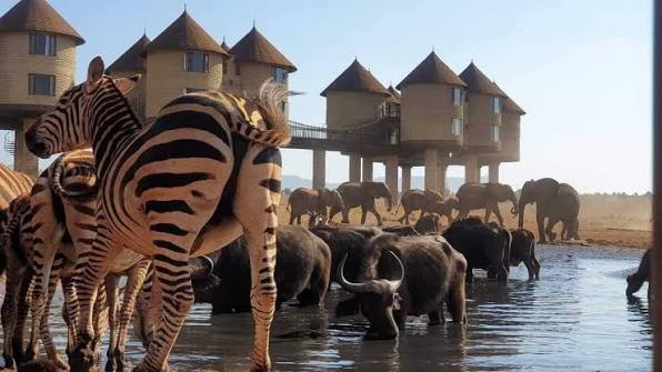 Taita Hills Wildlife Sanctuary