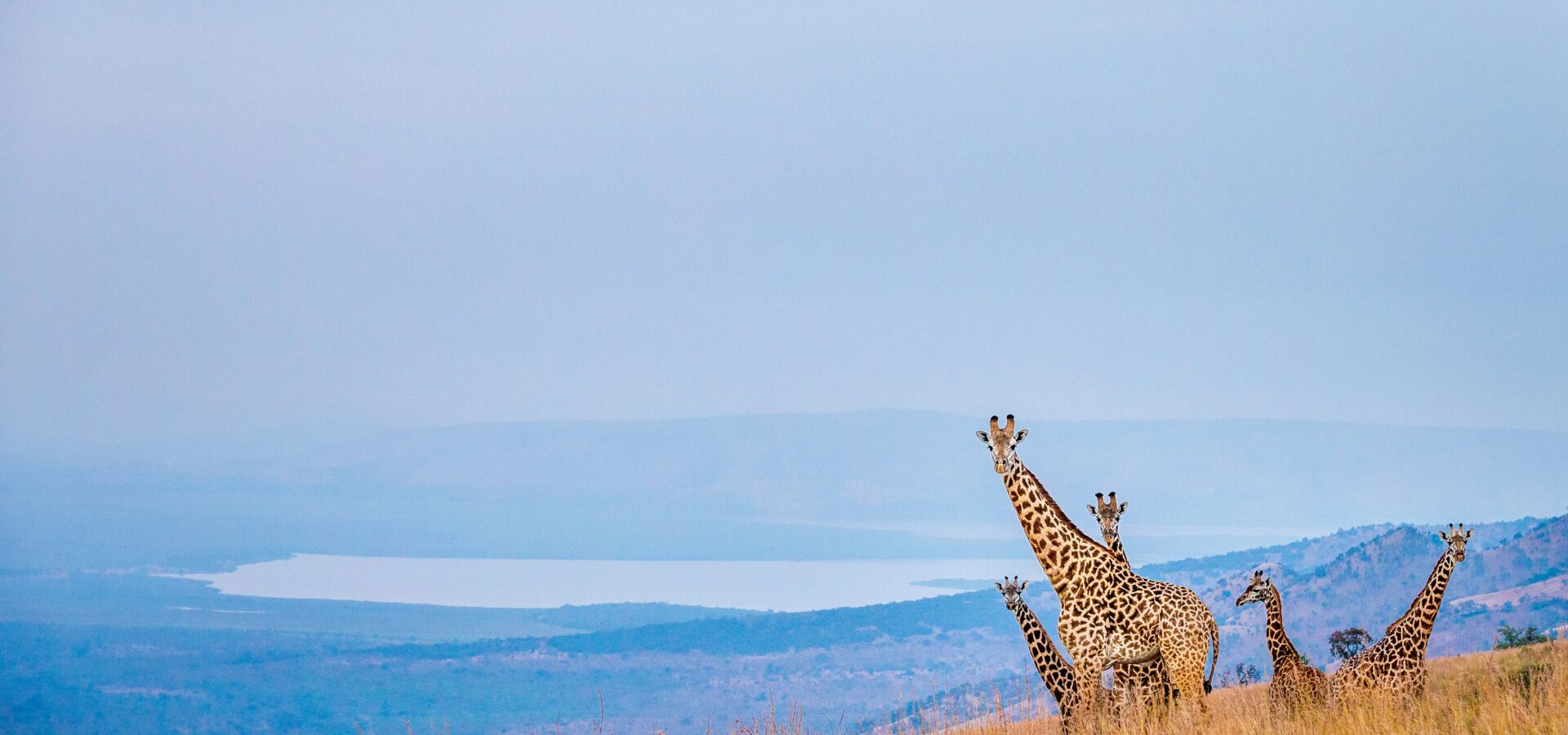 Akagera National Park Rwanda: Ultimate Safari Guide, Big 5 & Wildlife