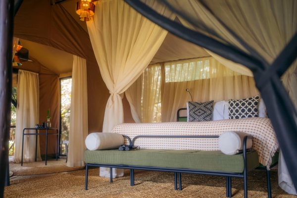 Family River Suite