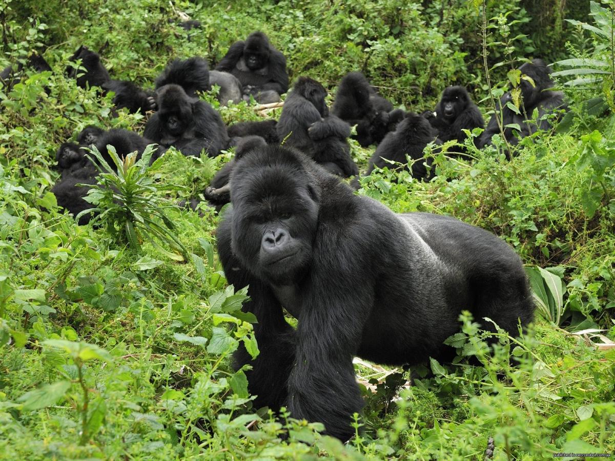 Rwanda