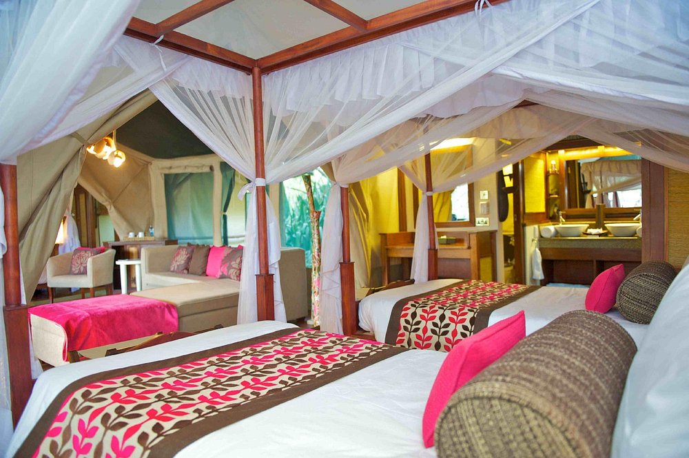 Family Tent