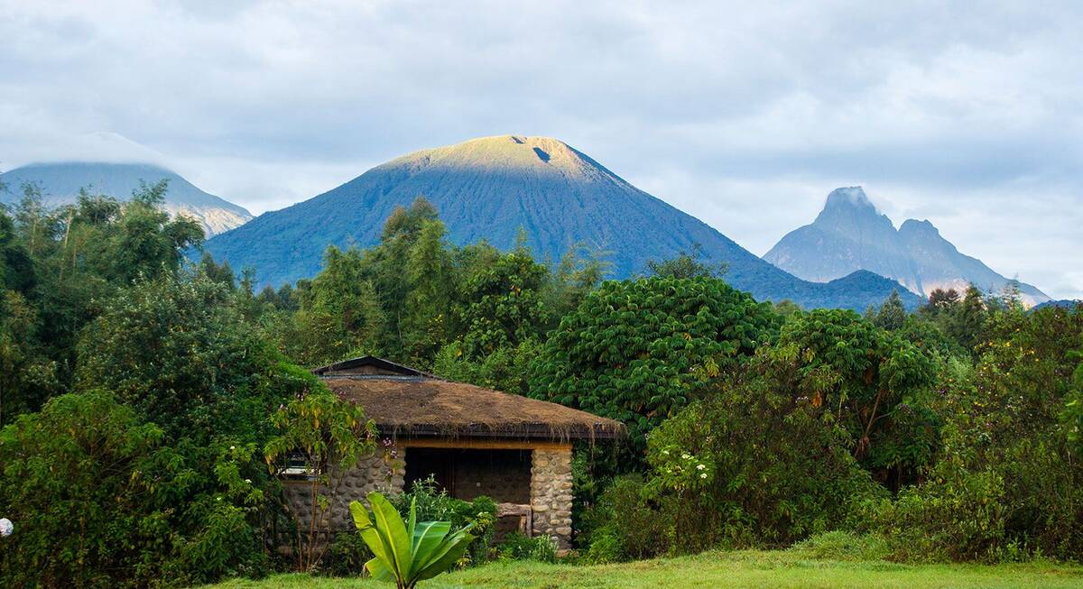 Gishwati-Mukura National Park