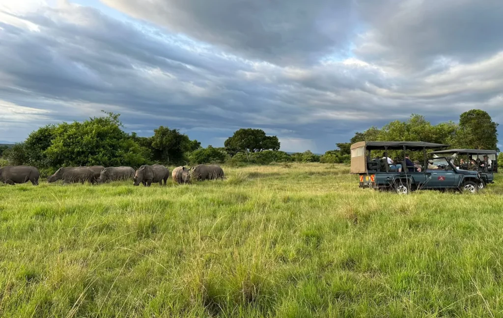 Masai Mara Safari, Mara Elatia Camp, Mara Triangle