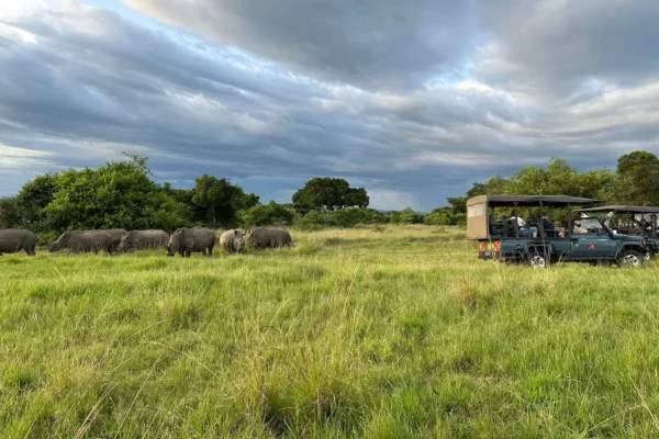 4 Days Masai Mara Safari | Mara Elatia Camp, Mara Triangle