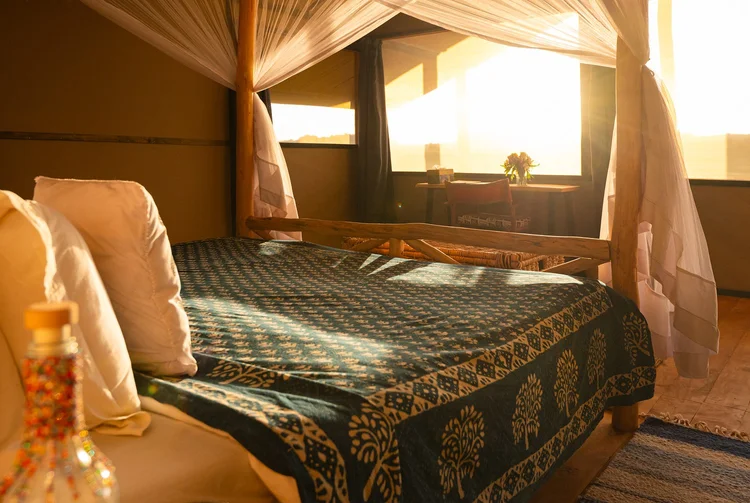 Palm Camp Laikipia Wilderness - best place to spot Giza Mrembo