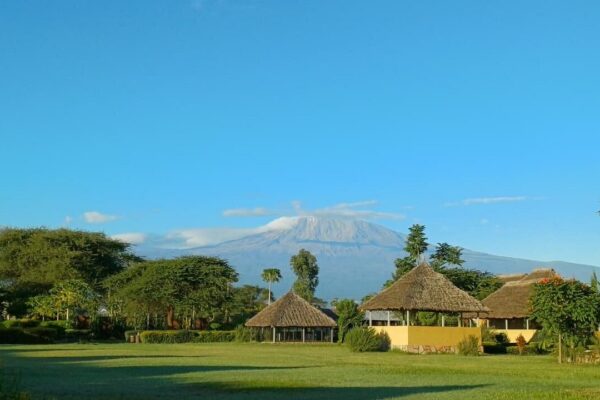 Amboseli Safari