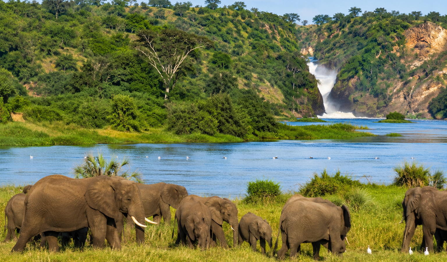 Discover Queen Elizabeth National Park: Uganda's Ultimate Big 5 & Wildlife Safari