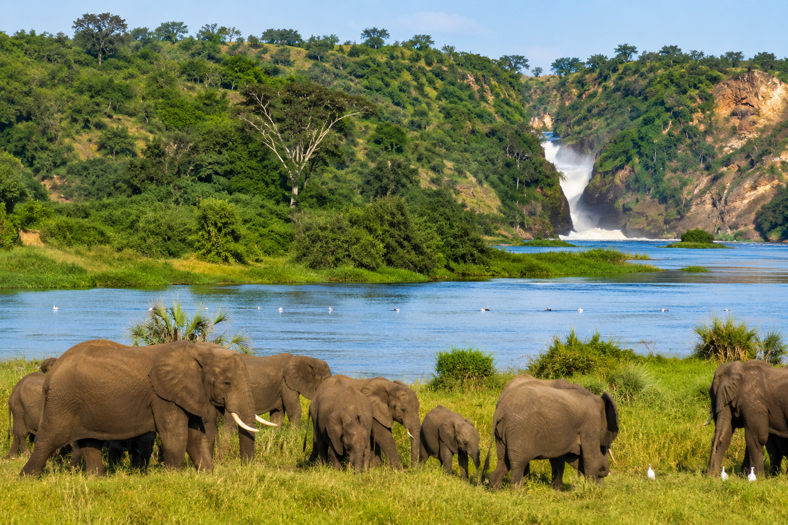 Discover Queen Elizabeth National Park: Uganda’s Ultimate Big 5 & Wildlife Safari