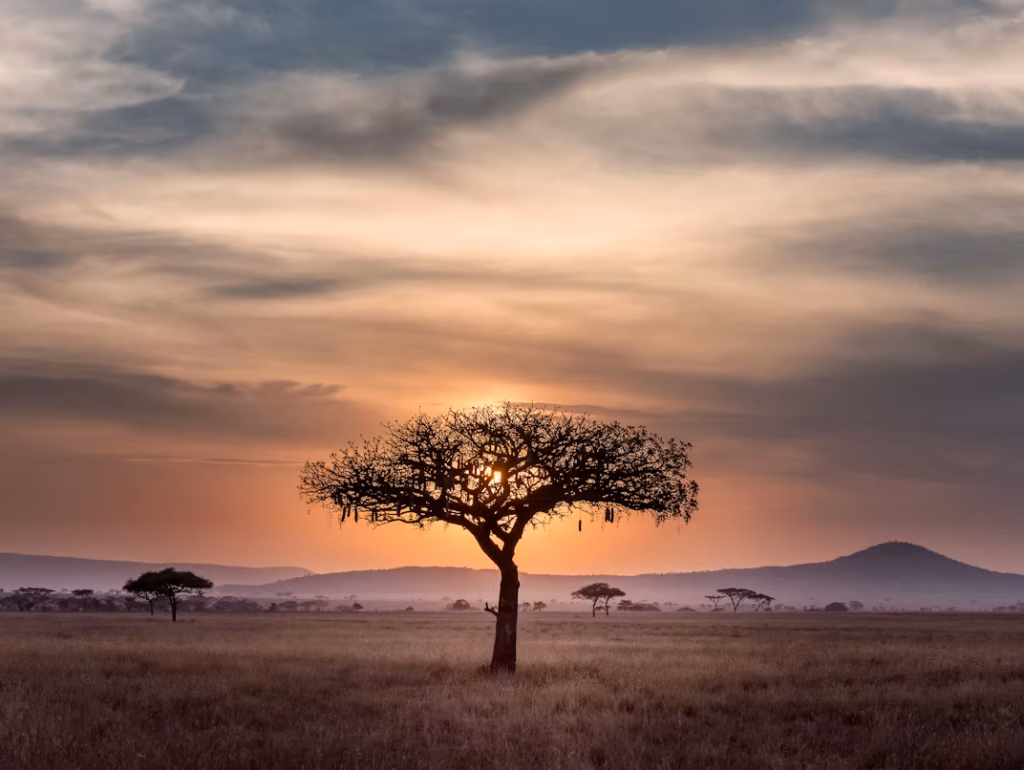 Safari Sunset in Serengeti