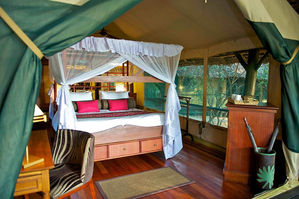 Luxury Tent
