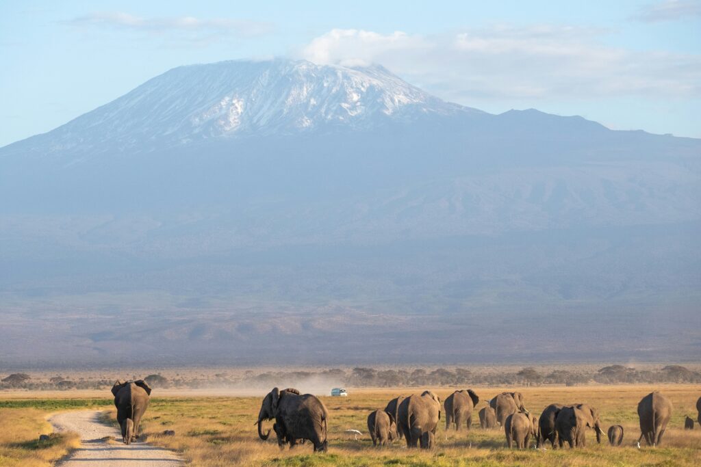 amboseli - kenya luxury safari