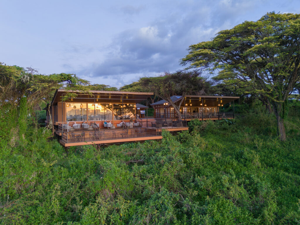 great migration safari, serengeti, tanzania