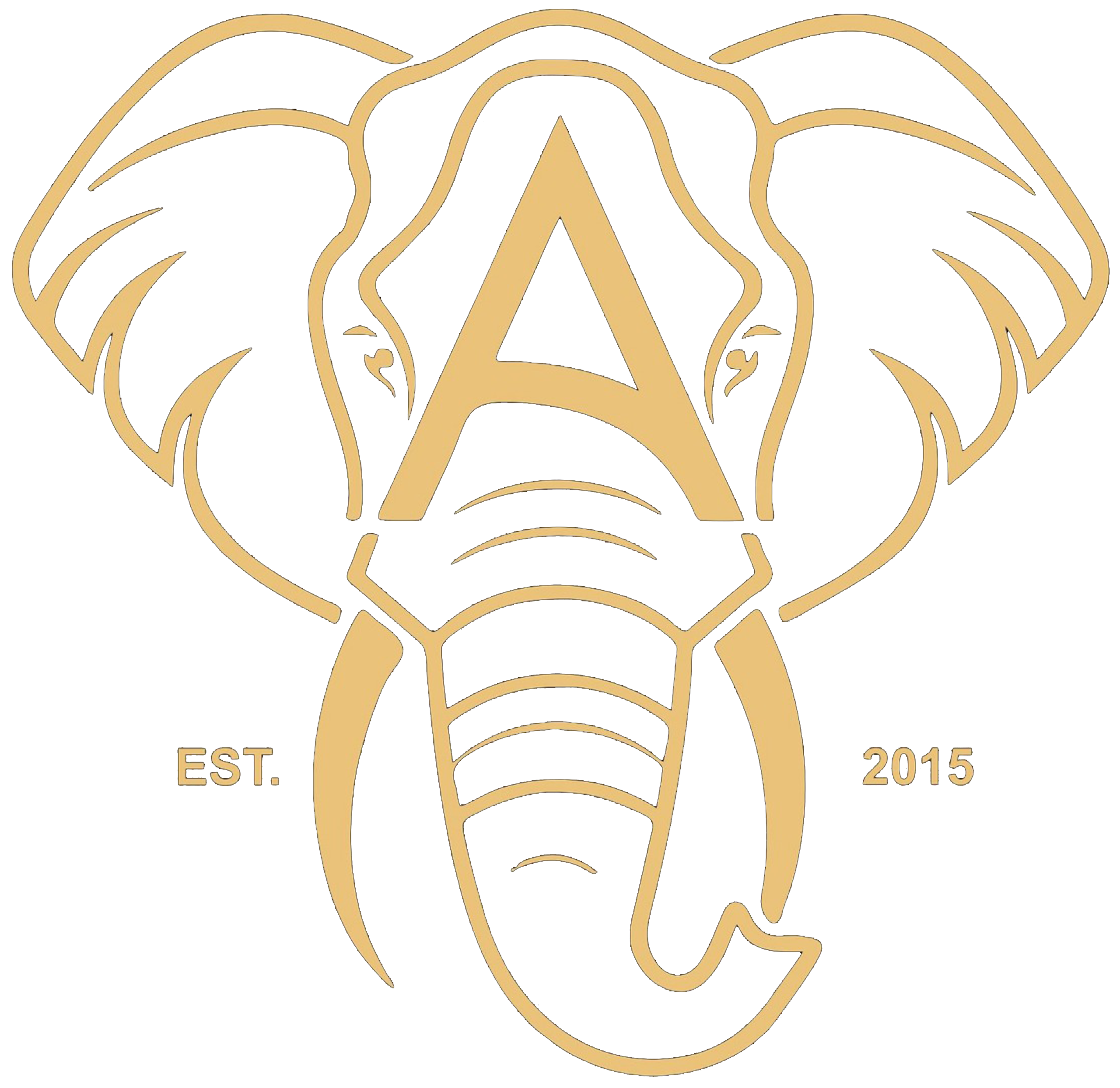 Afrikan Accent Adventures
