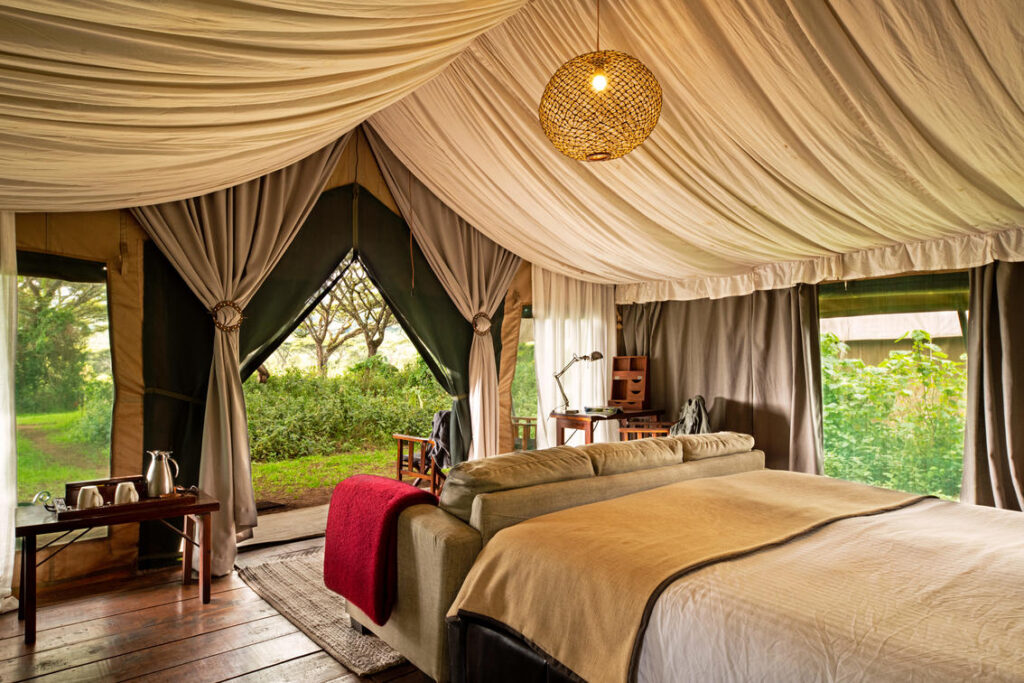 Family / Multi-Bedroom Tents