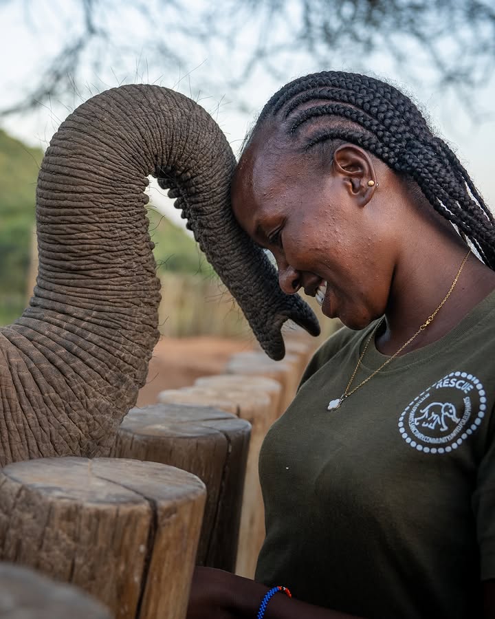 Women Only Safari in Kenya: The Complete Guide