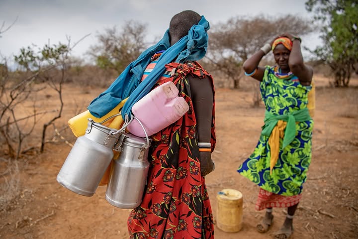 Milk Mama transporting milk cans to Reteti Elephant Sanctuary on a women only safari