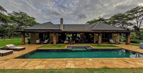 Hamerkop House