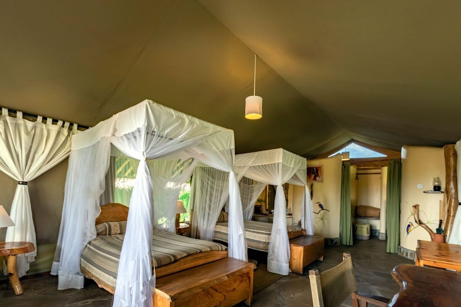 Twin Tent